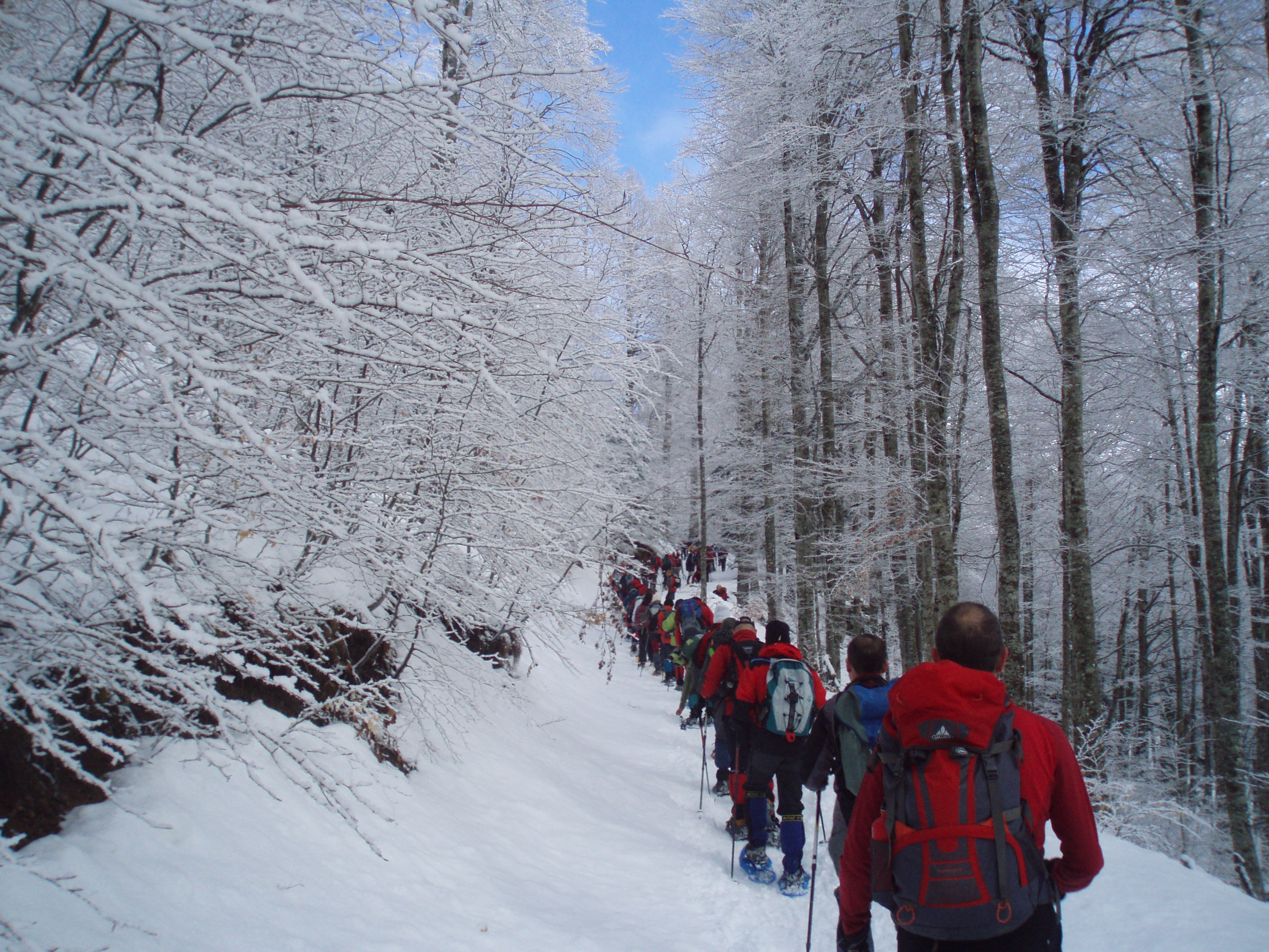 Raquetistas en el bosque de Sansanet Luis Aliaga