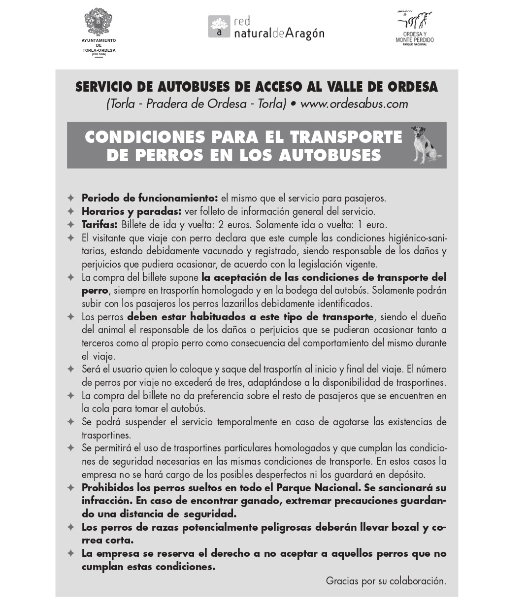 autobus ordesa 2023 4