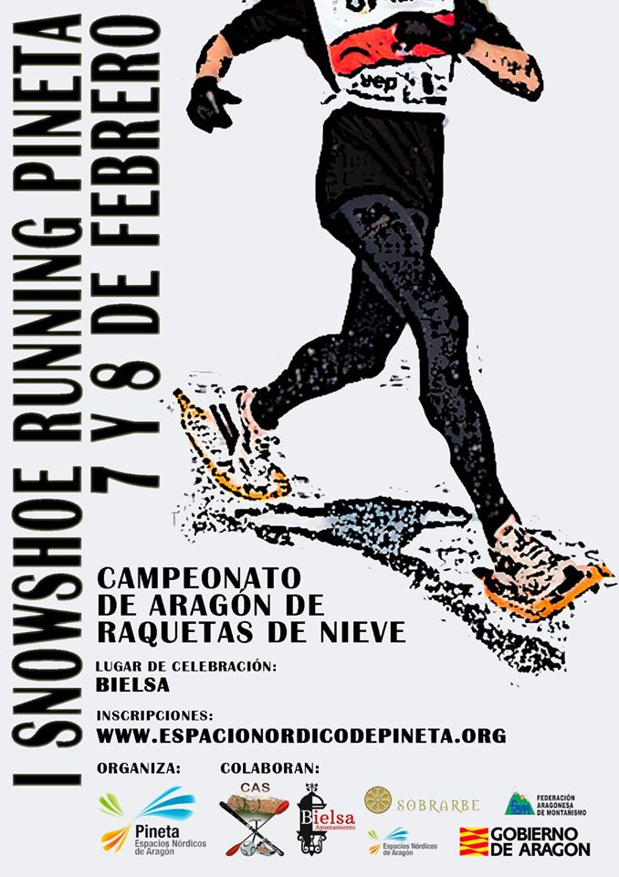 cartel campeonato Aragón 2020