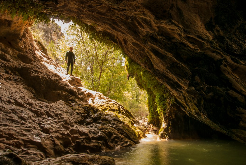 interior fonseca