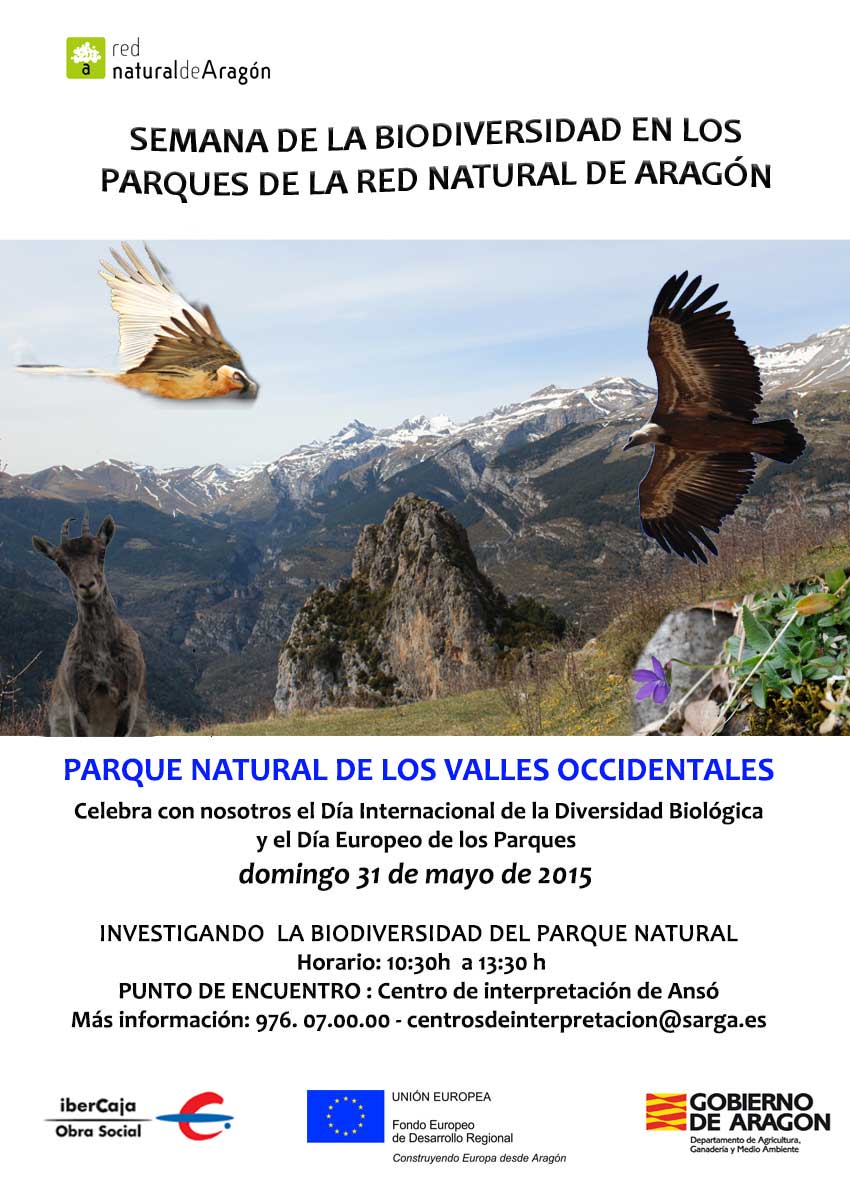 cartel anso