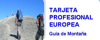 Tarjeta profesional Europea copia