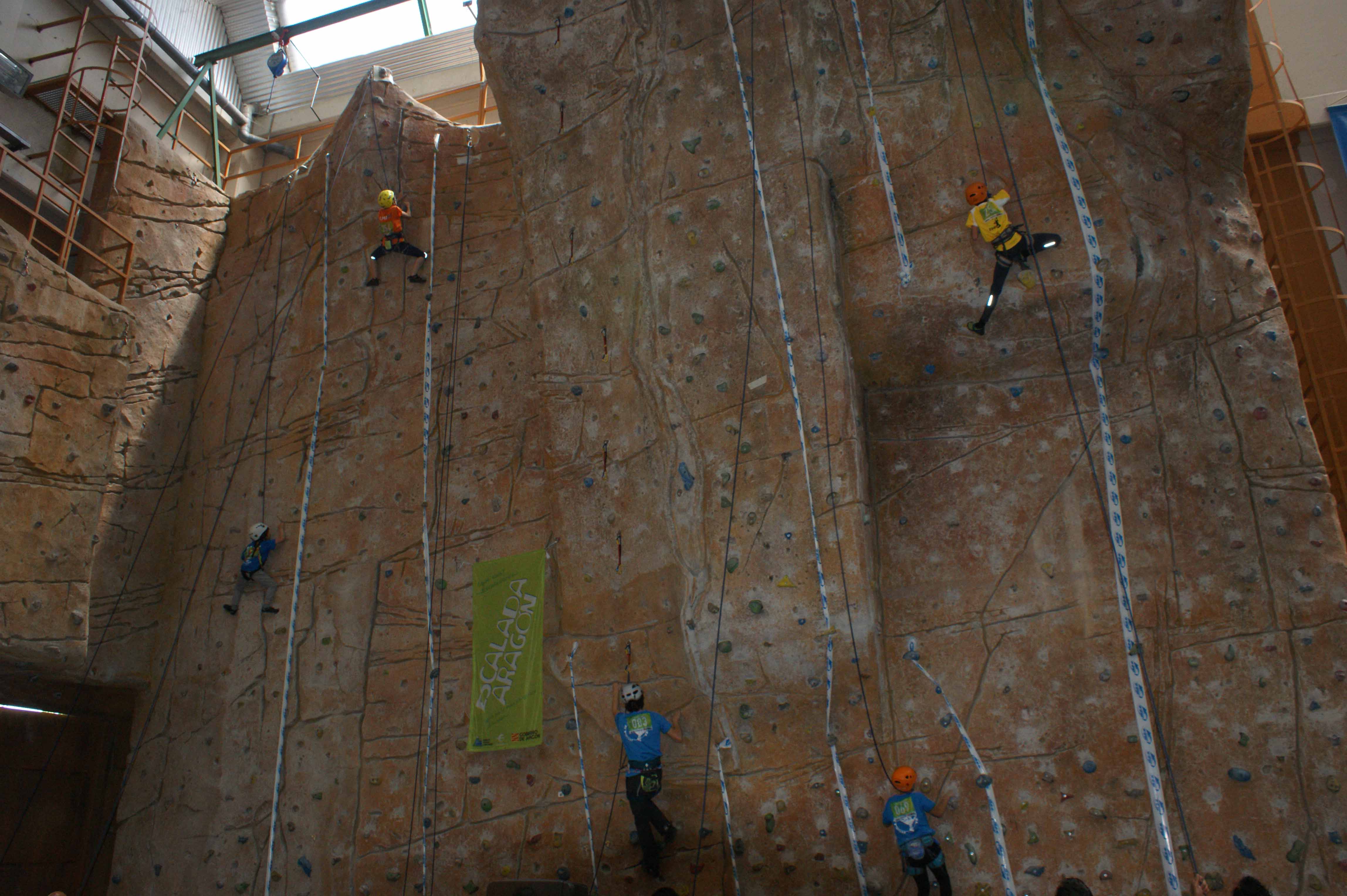 DSC08836 RECORTADA