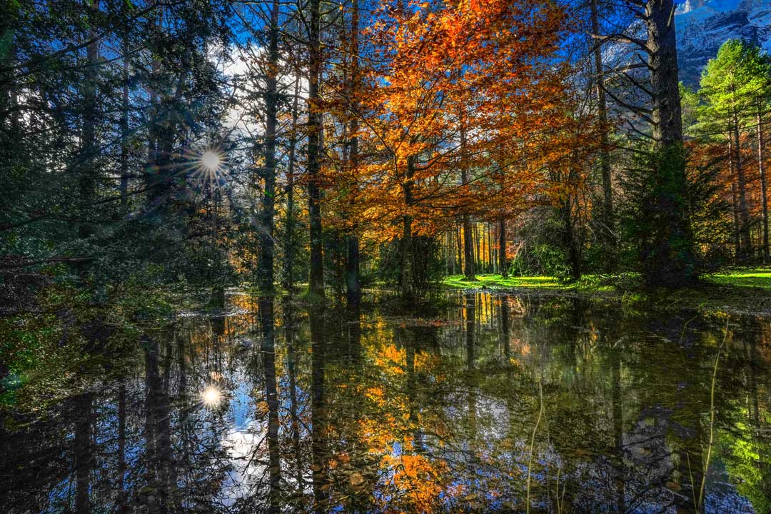 1 PREMIO Noches de Tormenta