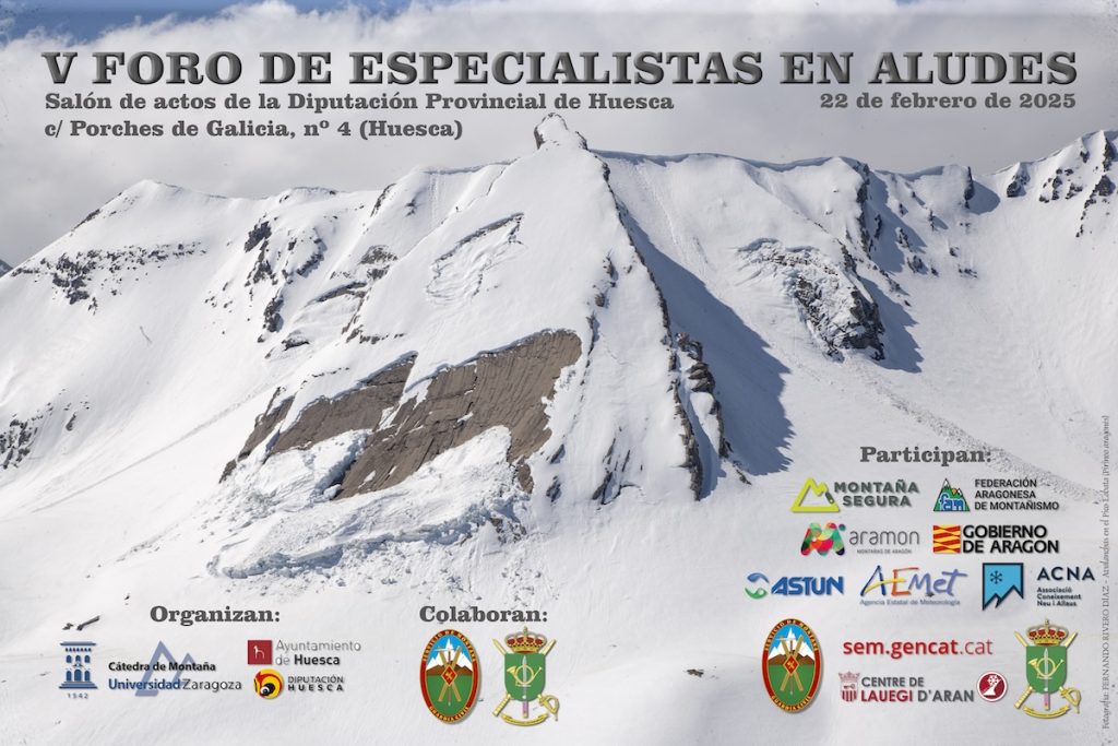 CARTEL 1024x683