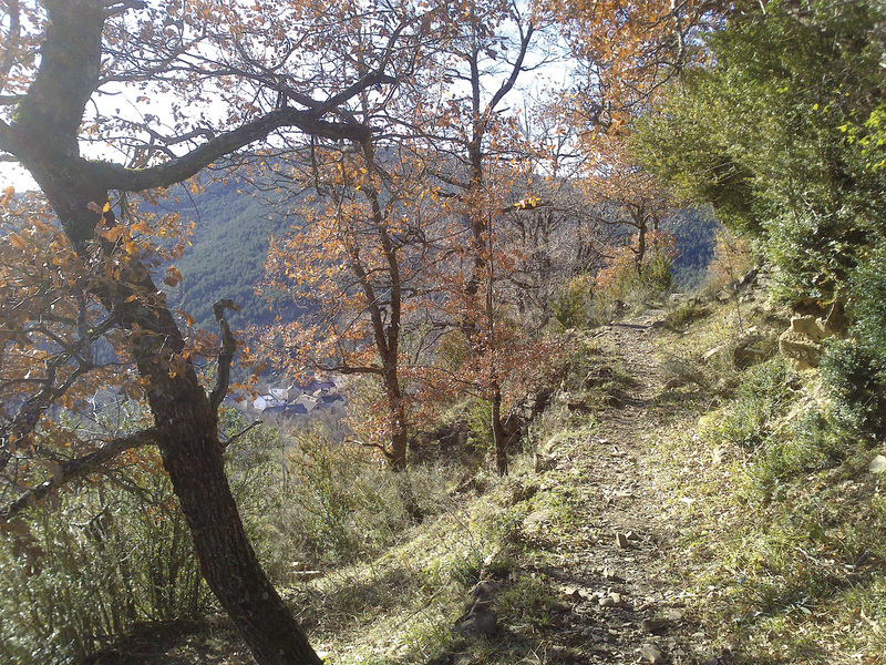 GR15 E9 sendero2