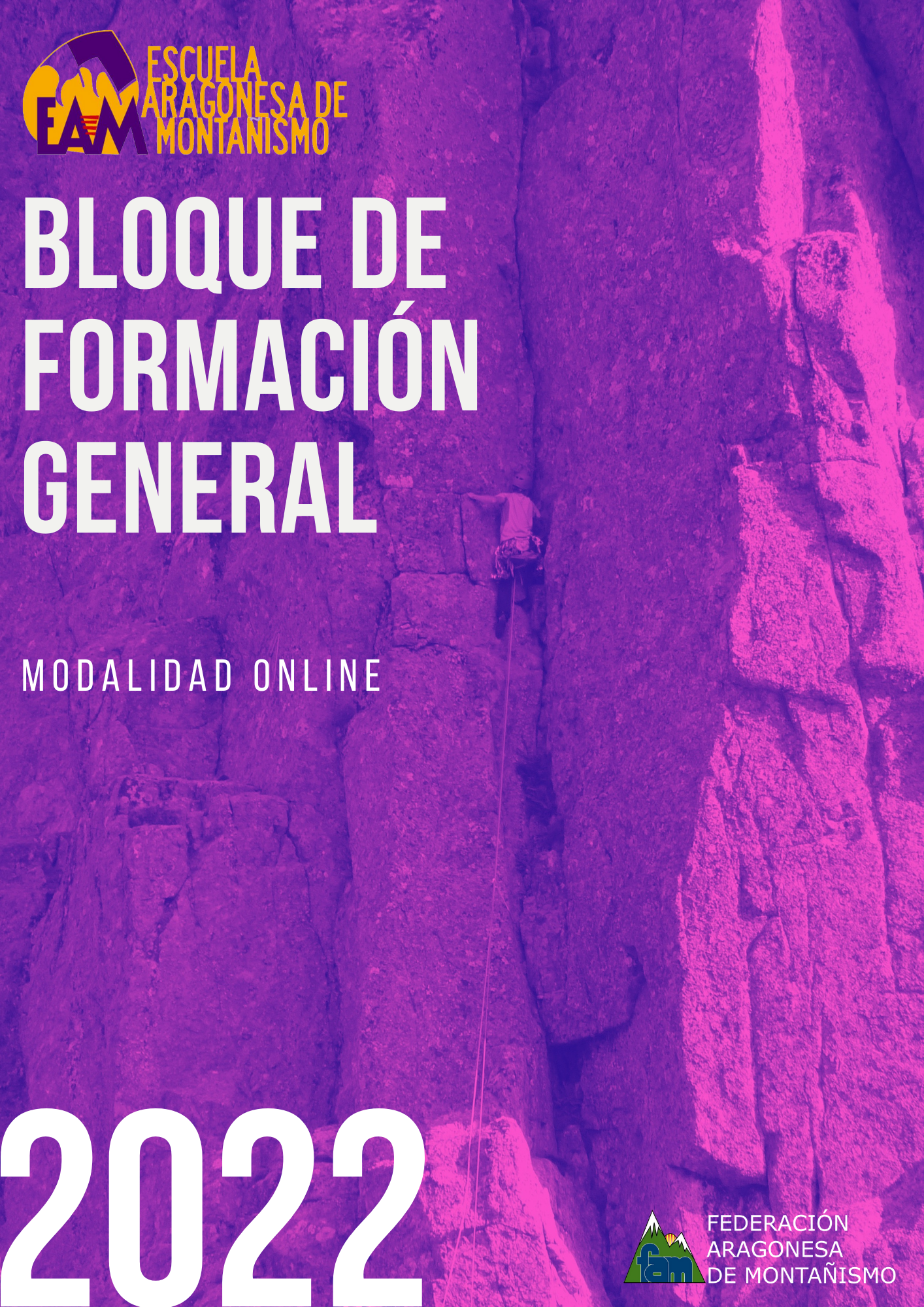 Bloque de Formación General