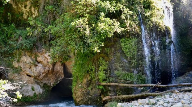 puente fonseca