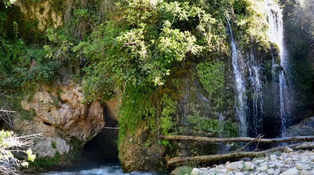 puente fonseca